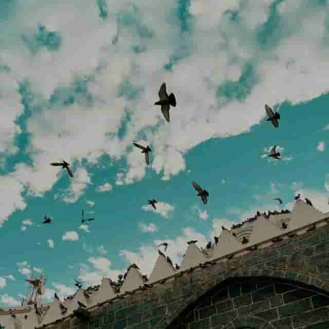 photo ٢٠٢٢ ٠١ ٠٥ ١٦ ٣٢ ١٧