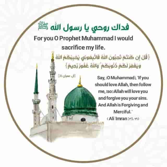 photo ٢٠٢٢ ٠٩ ٠٩ ١٨ ٣١ ٤٥