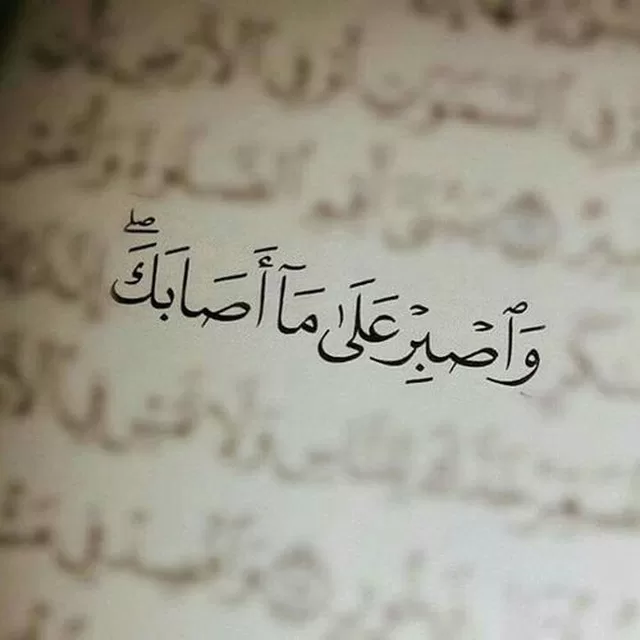 photo ٢٠٢٢ ١٢ ١٨ ٠١ ٣٥ ٠٦ jpg